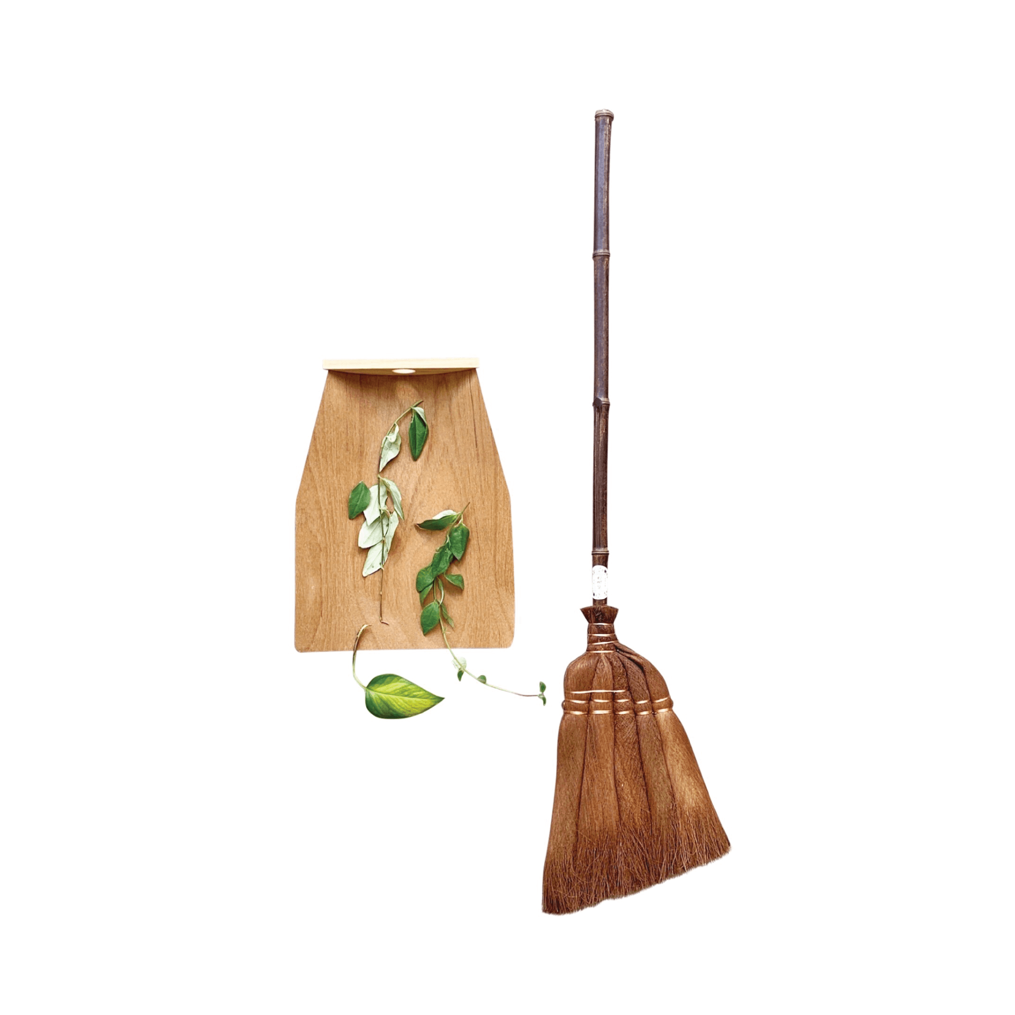 LONG HANDLE SHURO BROOM - RT1home