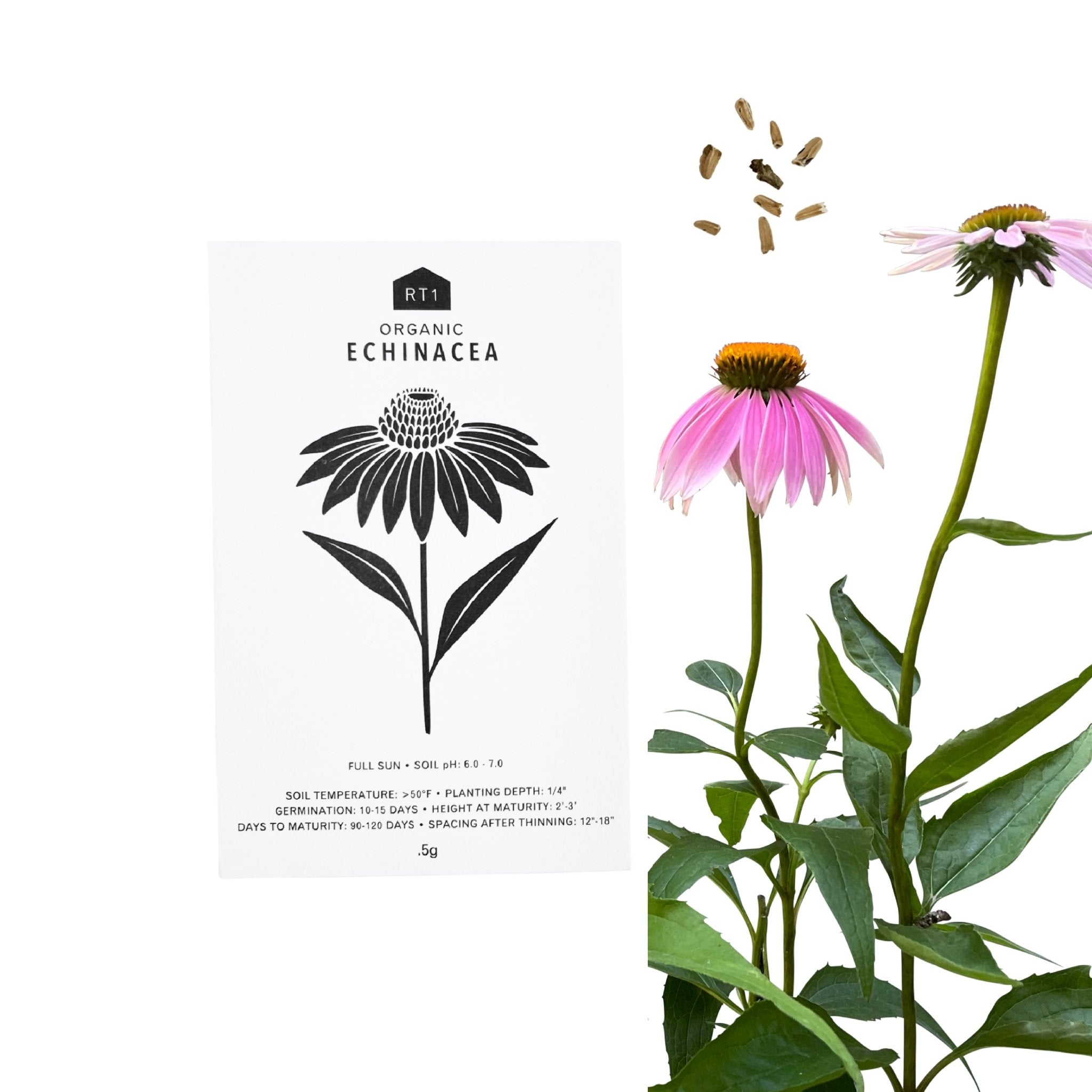 MEDICINAL HERB SEEDS - PACK OF 5 - RT1home
