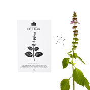 MEDICINAL HERB SEEDS - PACK OF 5 - RT1home