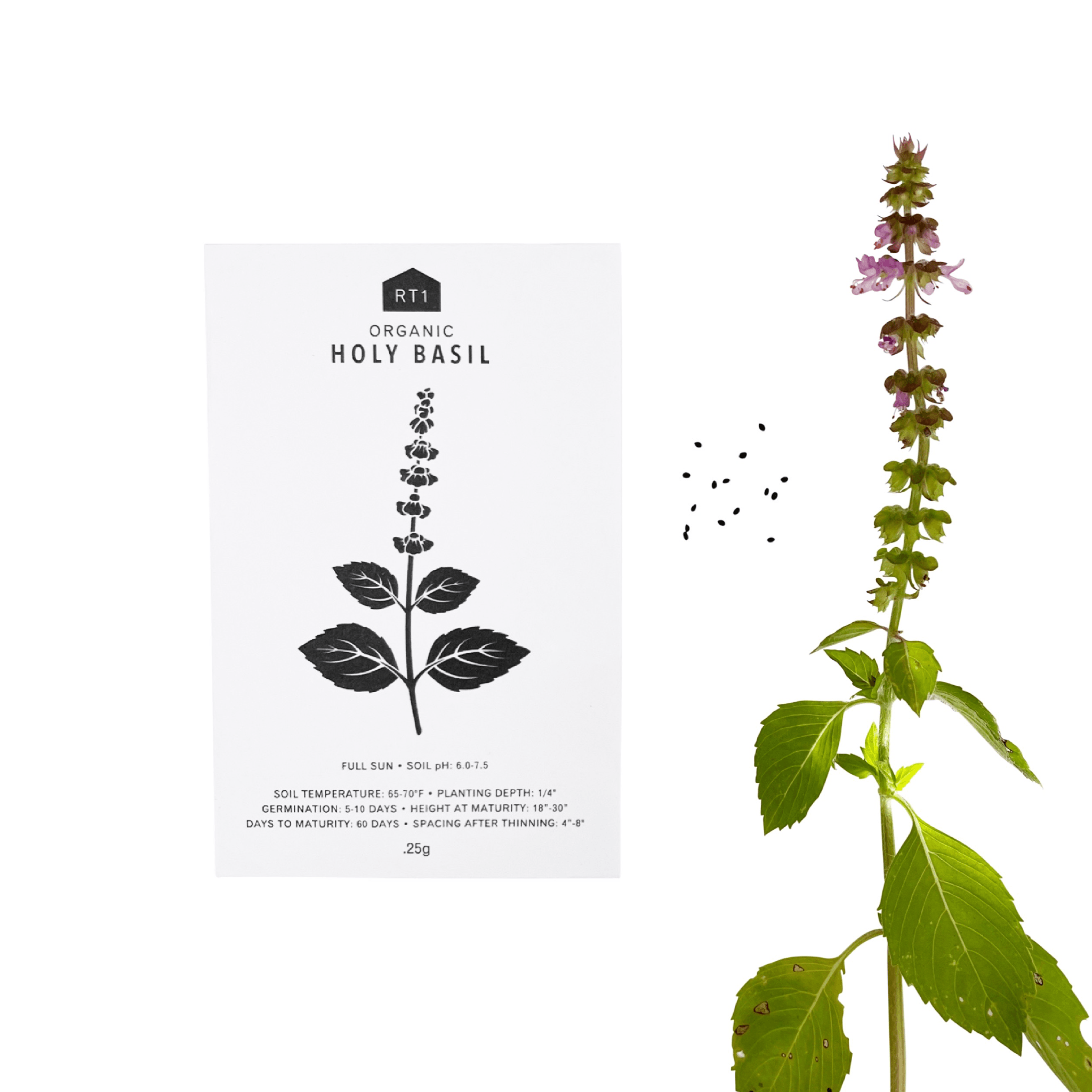 MEDICINAL HERB SEEDS - PACK OF 5 - RT1home