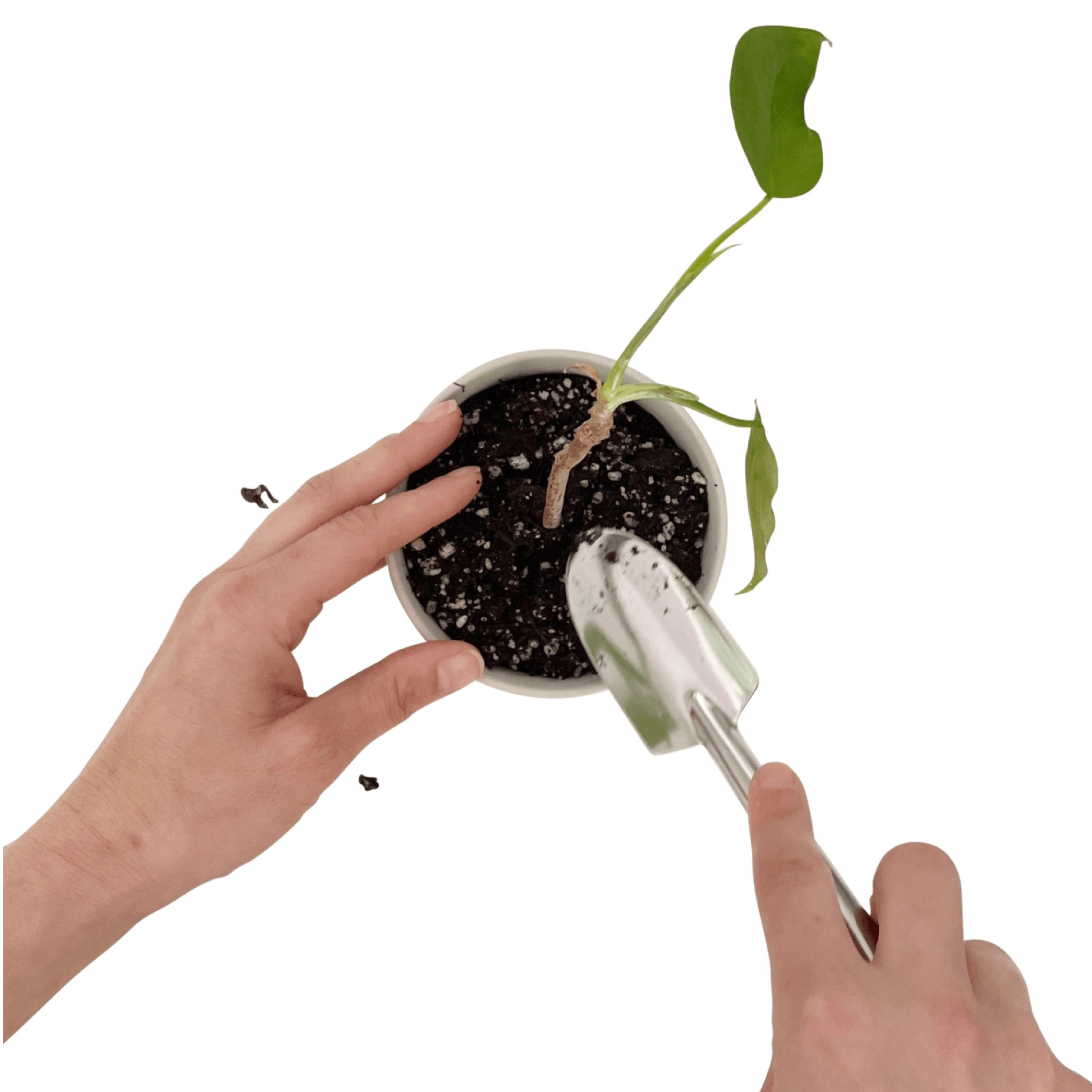 MINI DOUBLE HEADED TROWEL - RT1home