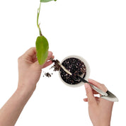 MINI DOUBLE HEADED TROWEL - RT1home