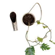 PLANT ARCHES - RT1home