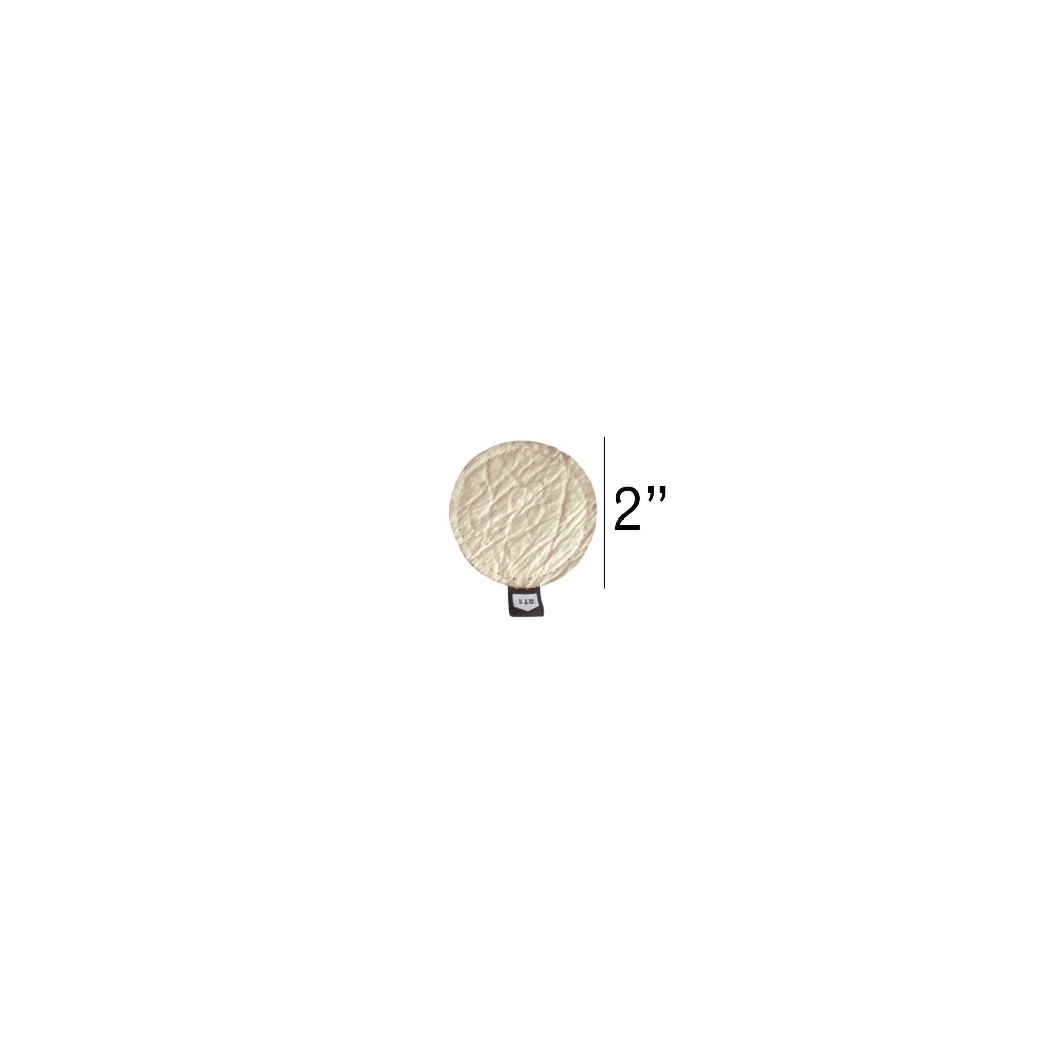 PLANT COASTER - RT1home
