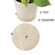 PLANT COASTER - RT1home
