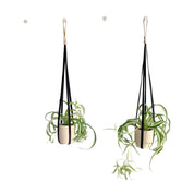 PLANT HANGER - RT1home