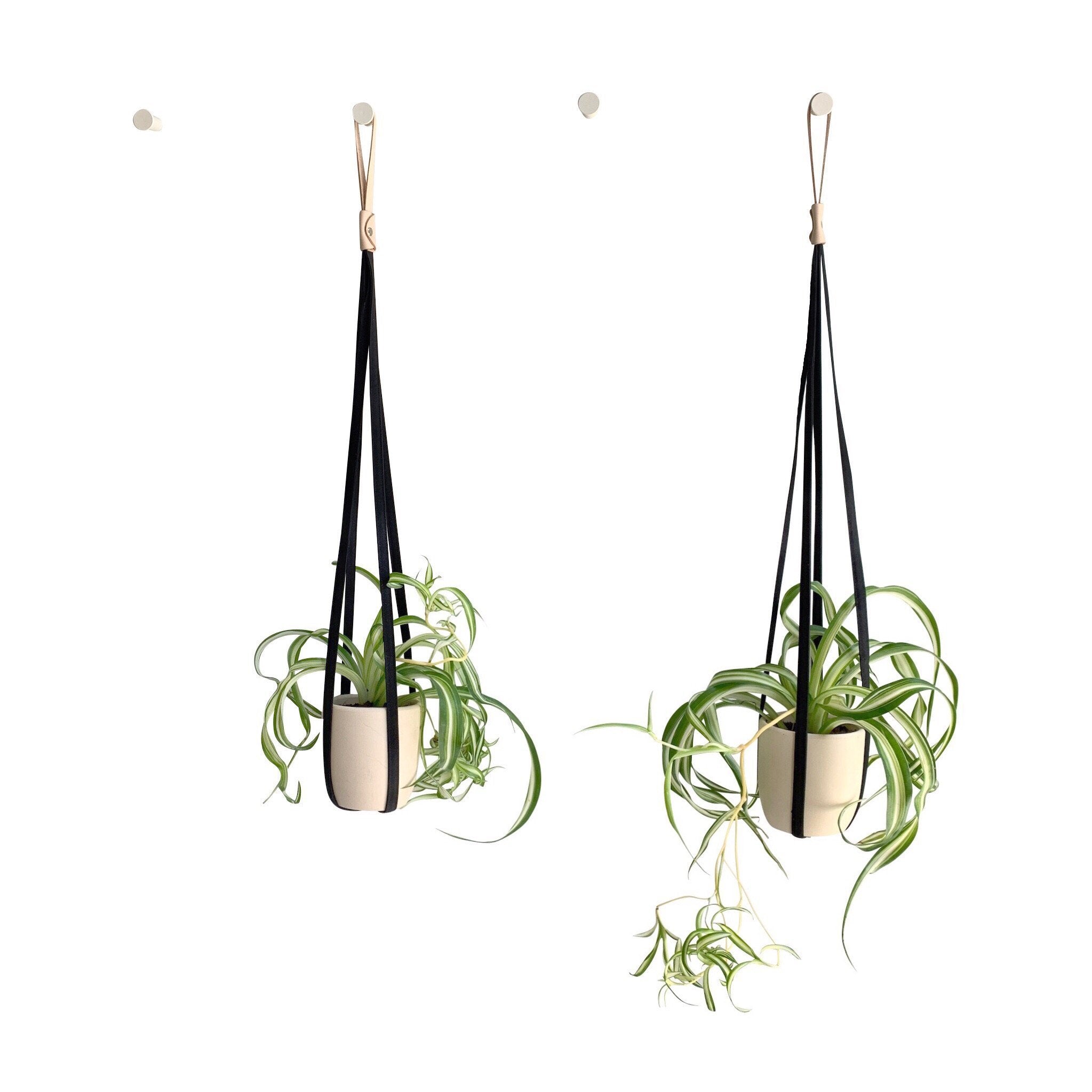 PLANT HANGER - RT1home