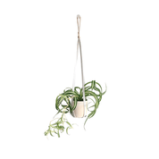 PLANT HANGER - RT1home