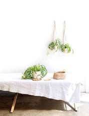 PLANT HANGER - RT1home