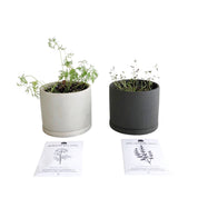 POTTED GROW SET - RT1home