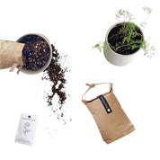 POTTED GROW SET - RT1home