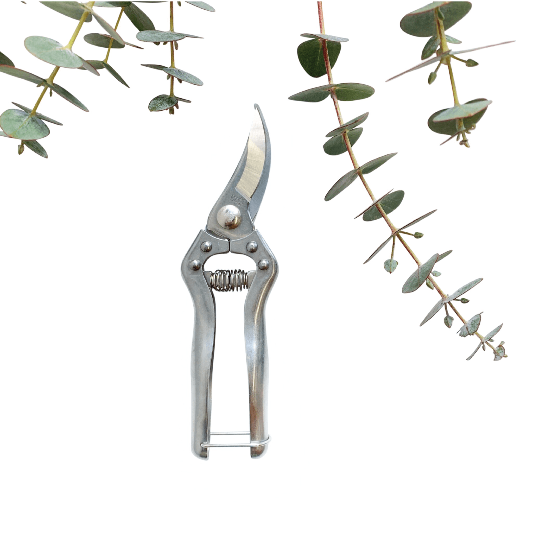 PRUNING SHEARS - RT1home