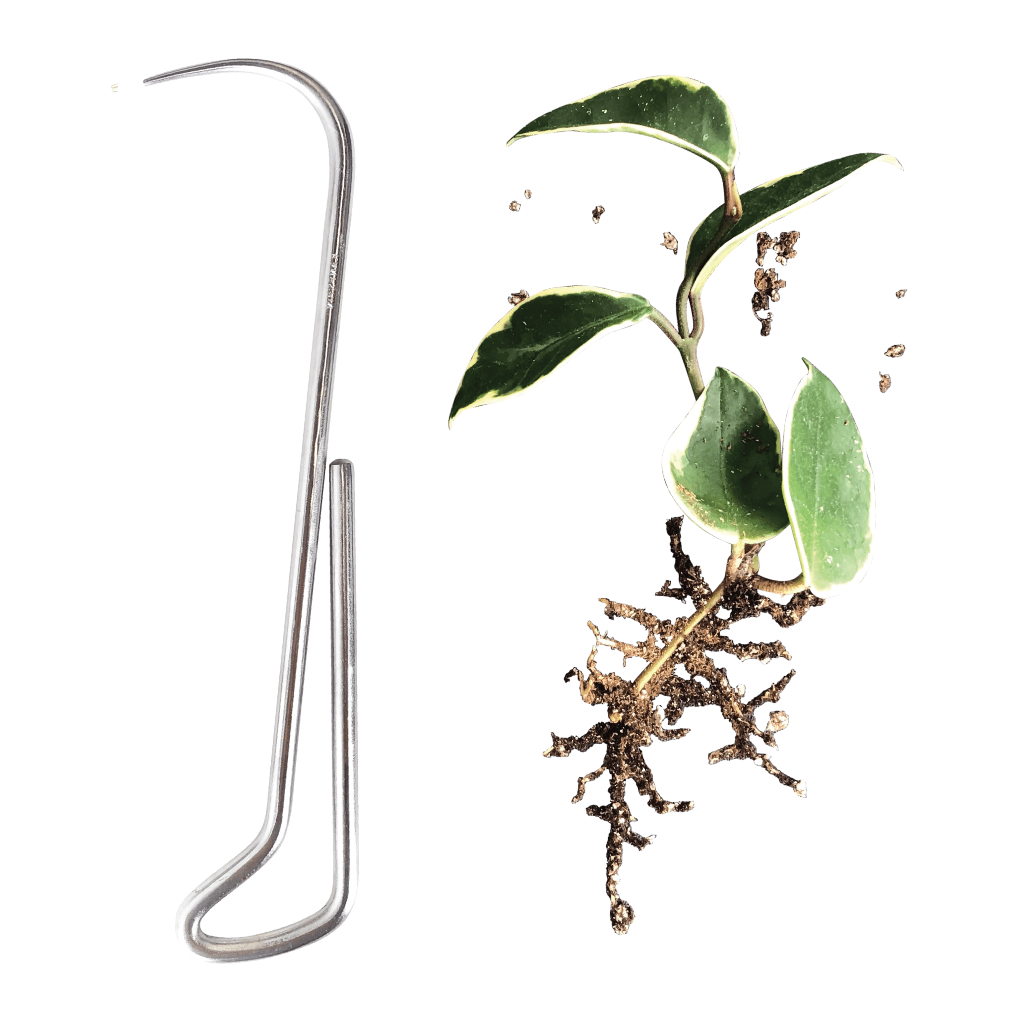ROOT HOOK - RT1home