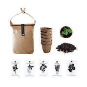 STARTER GROW SET - RT1home