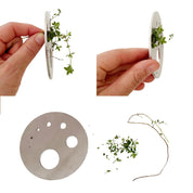 STEEL PROP DISC GLASS SET - RT1home