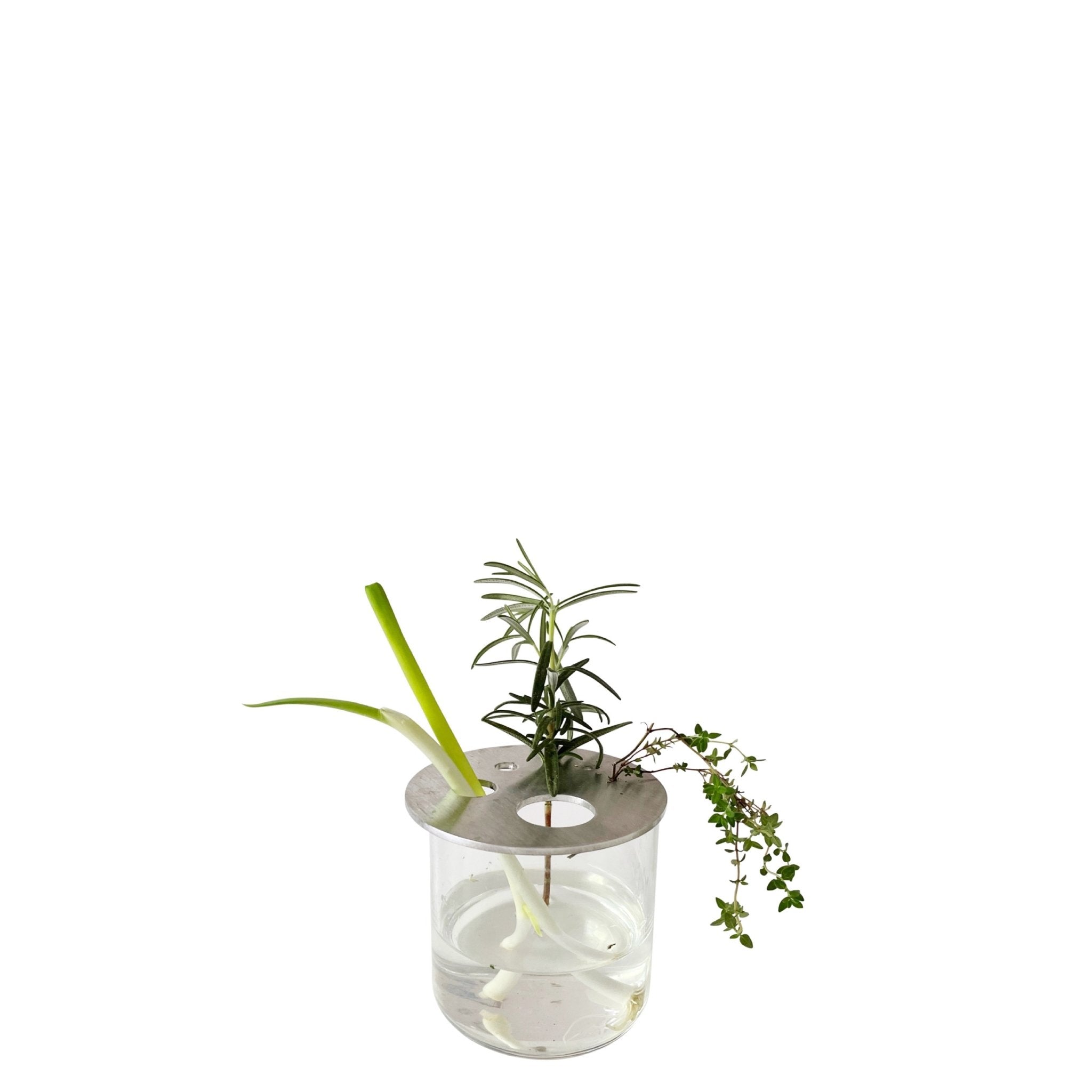 STEEL PROP DISC GLASS SET - RT1home