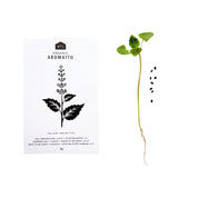 SWEET HERB SEEDS - PACK OF 5 - RT1home