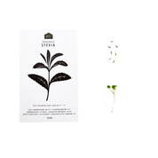 SWEET HERB SEEDS - PACK OF 5 - RT1home