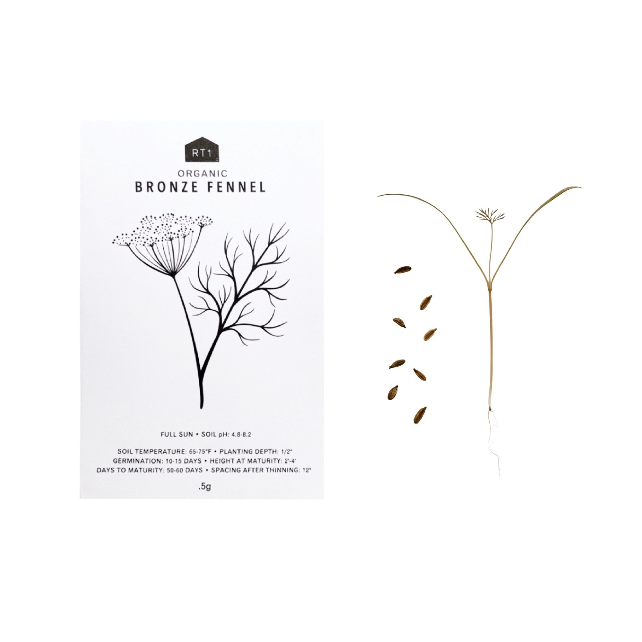 SWEET HERB SEEDS - PACK OF 5 - RT1home