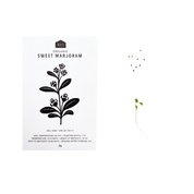 SWEET HERB SEEDS - PACK OF 5 - RT1home