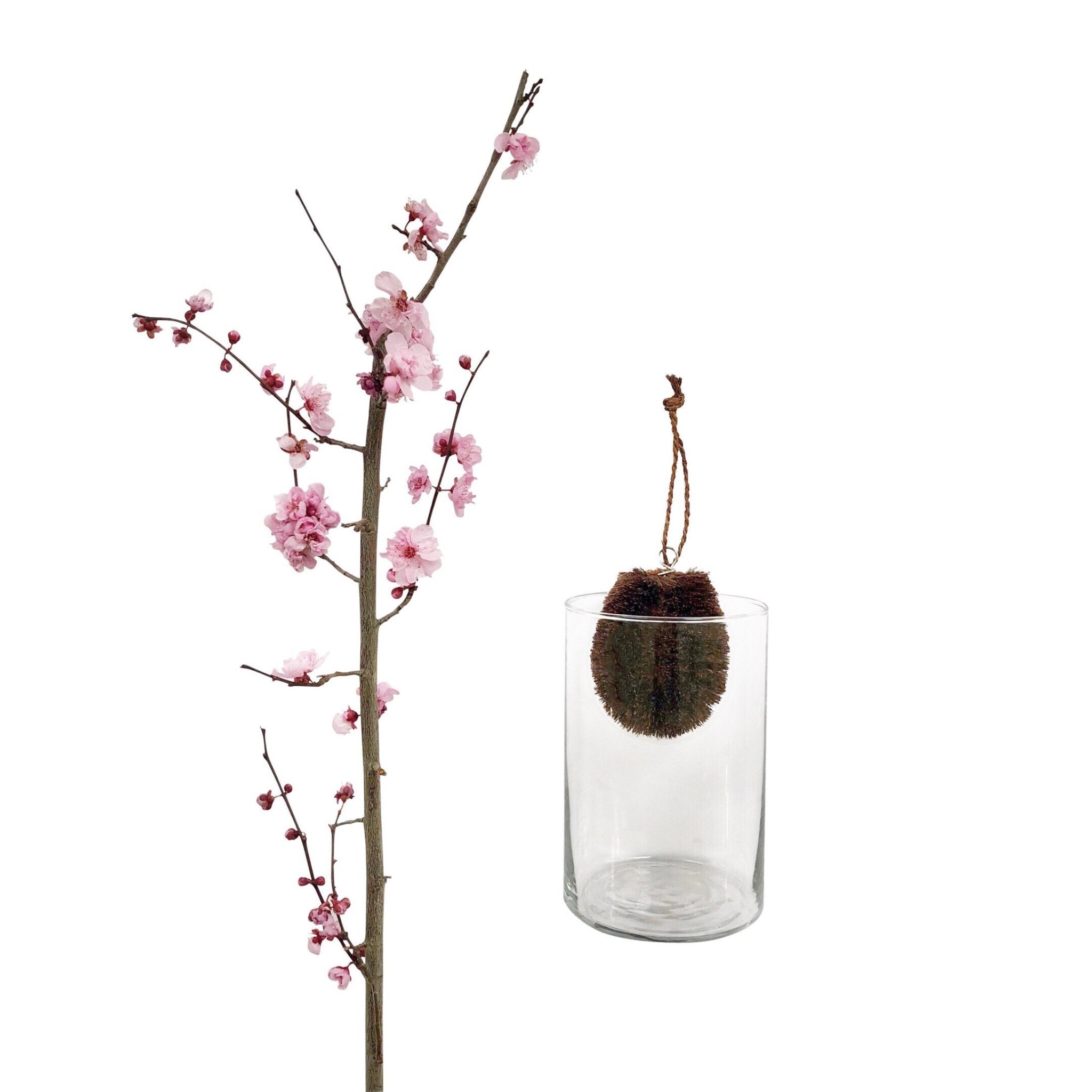 Tawashi Scrubber