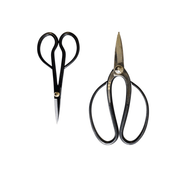 Trimming Scissors