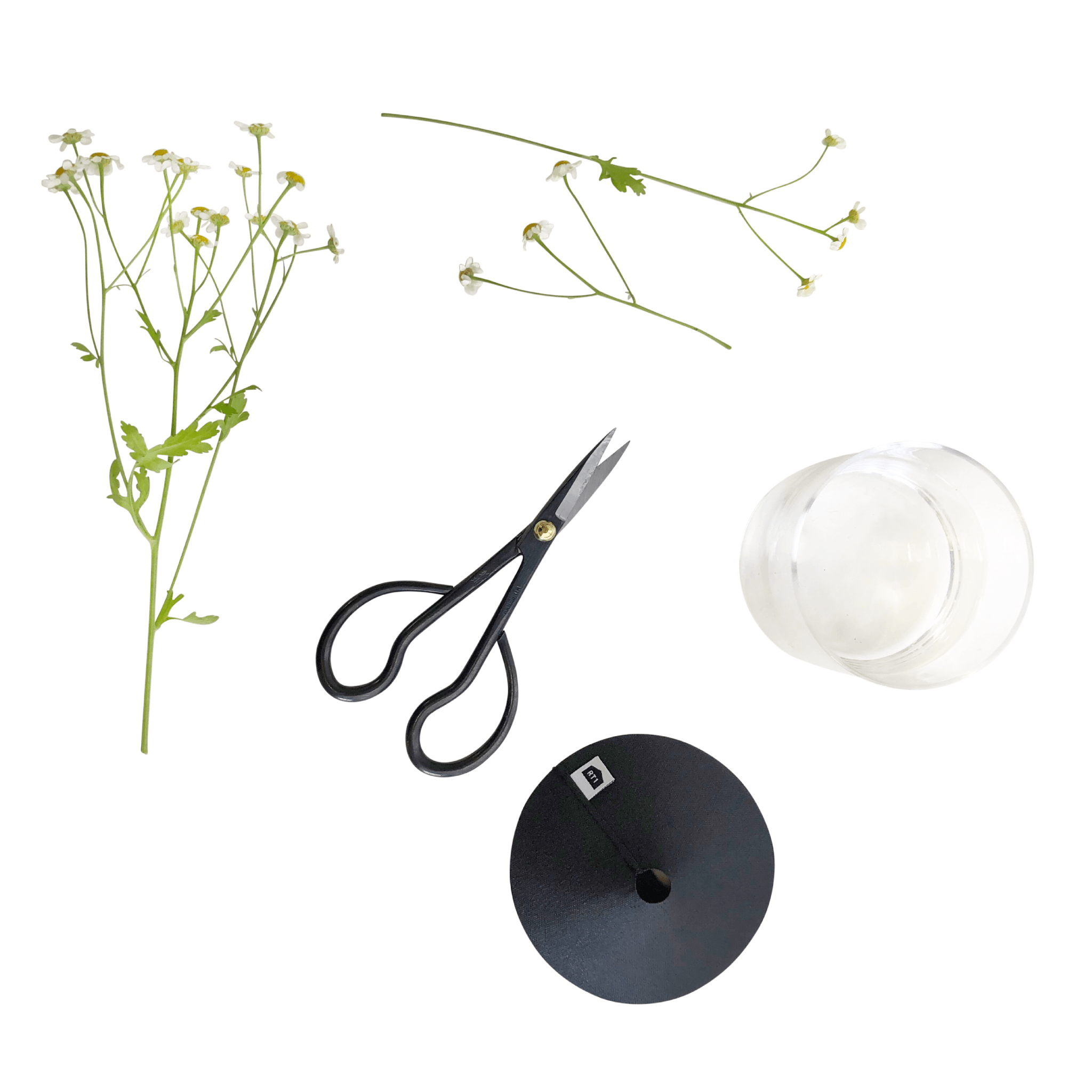 Trimming Scissors