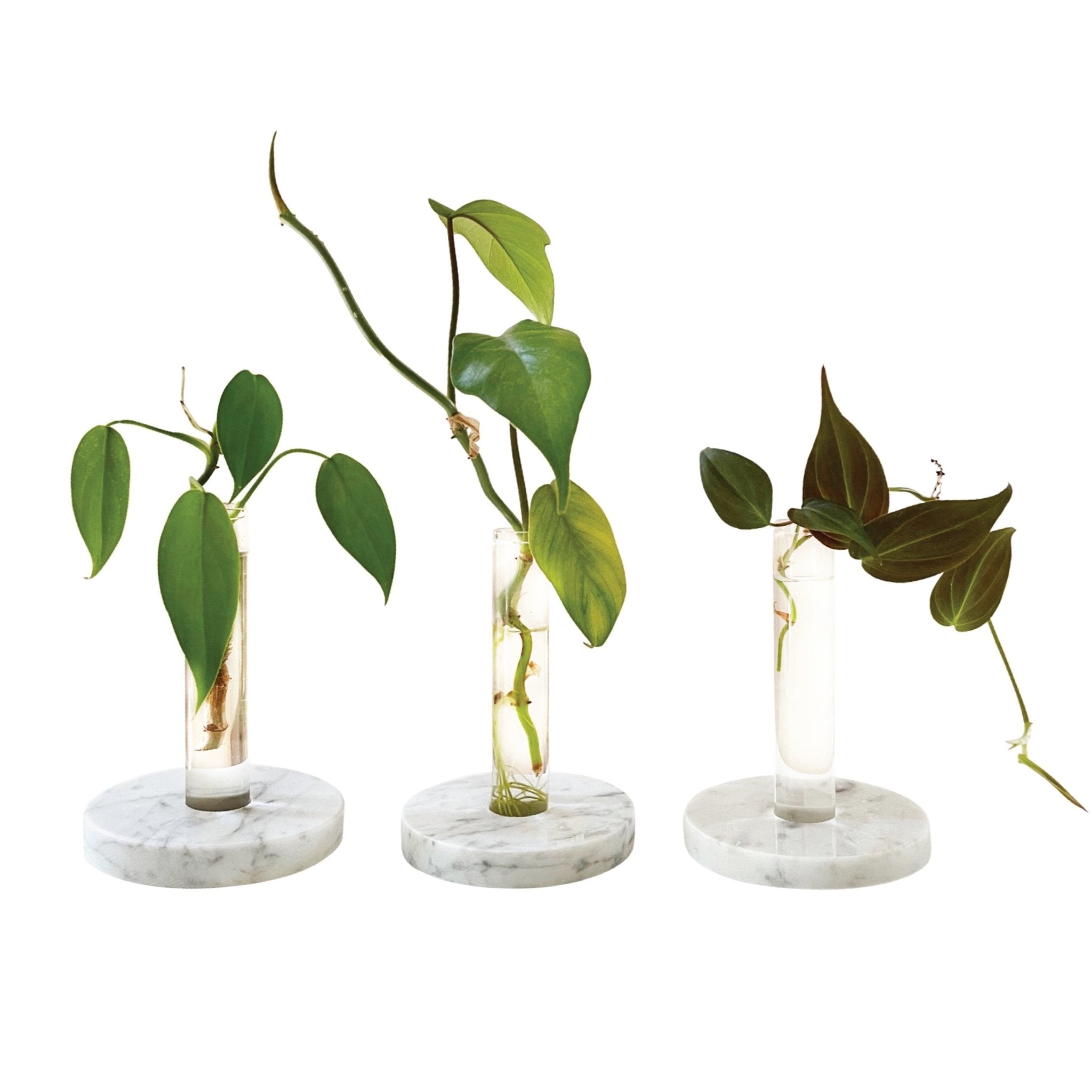 UPCYCLED STONE PROP DISC + GLASS TUBE - RT1home