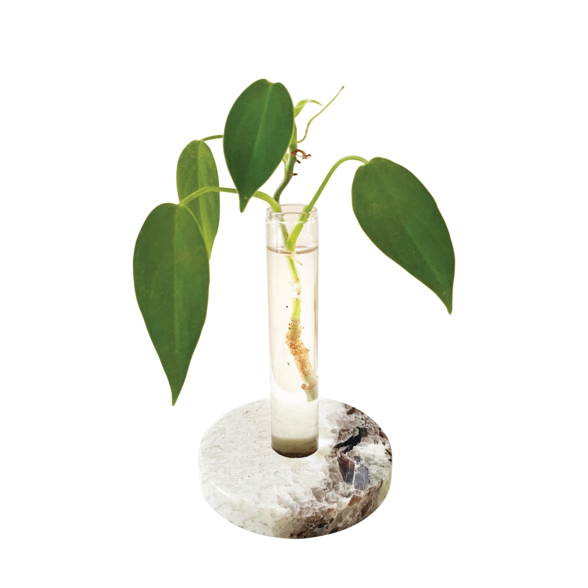 UPCYCLED STONE PROP DISC + GLASS TUBE - RT1home