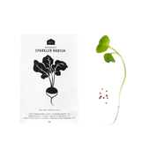 Vegetable Seeds - Pack of 5