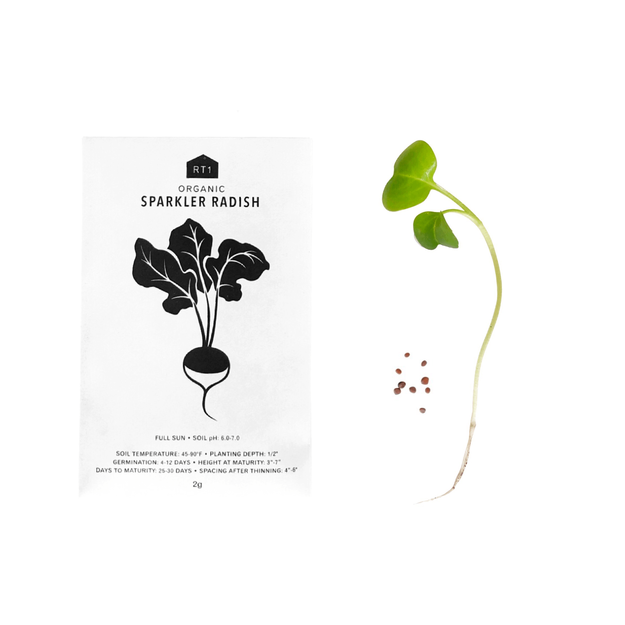 Vegetable Seeds - Pack of 5