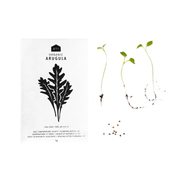 Vegetable Seeds - Pack of 5