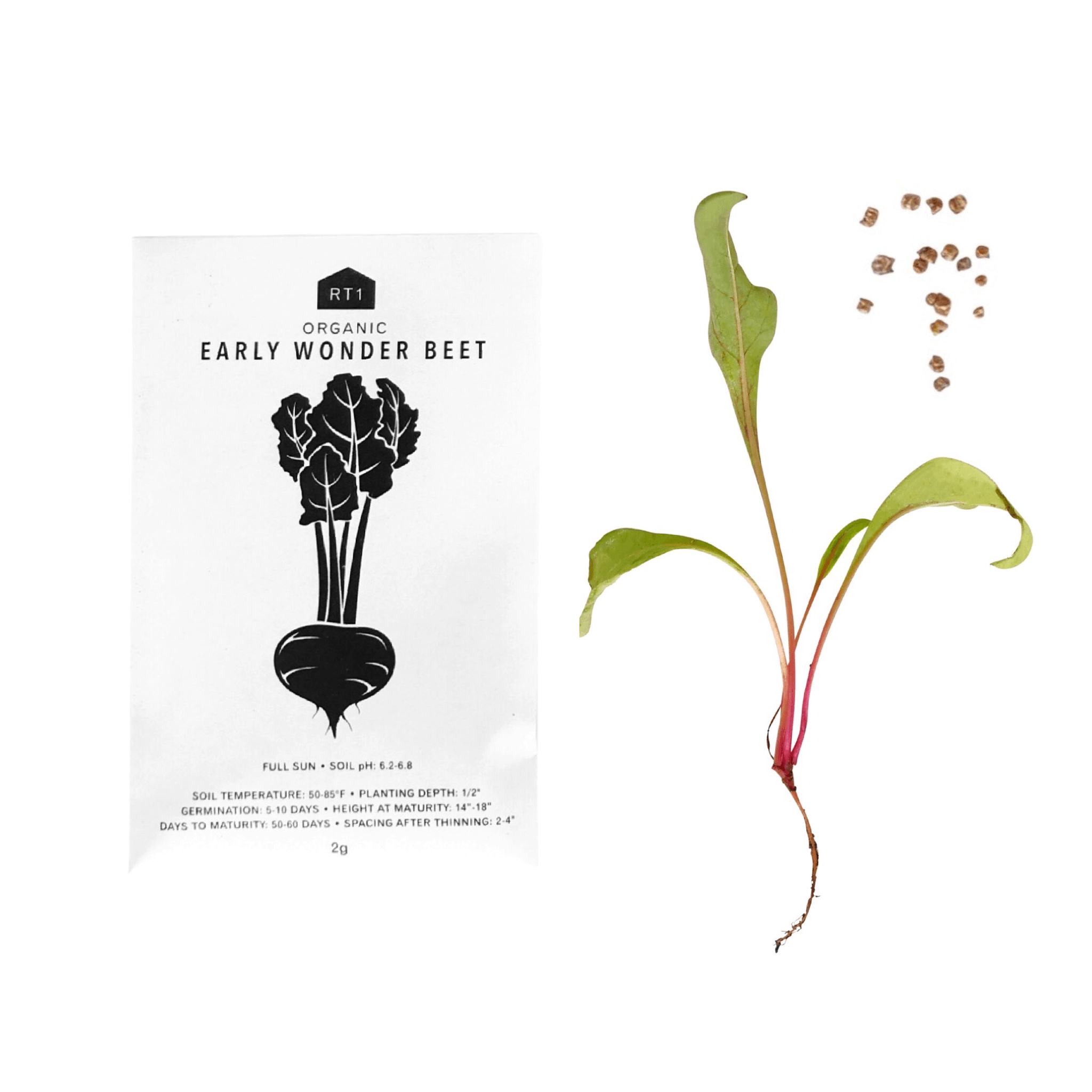 Vegetable Seeds - Pack of 5