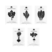 Vegetable Seeds - Pack of 5