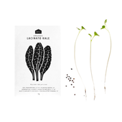 Vegetable Seeds - Pack of 5