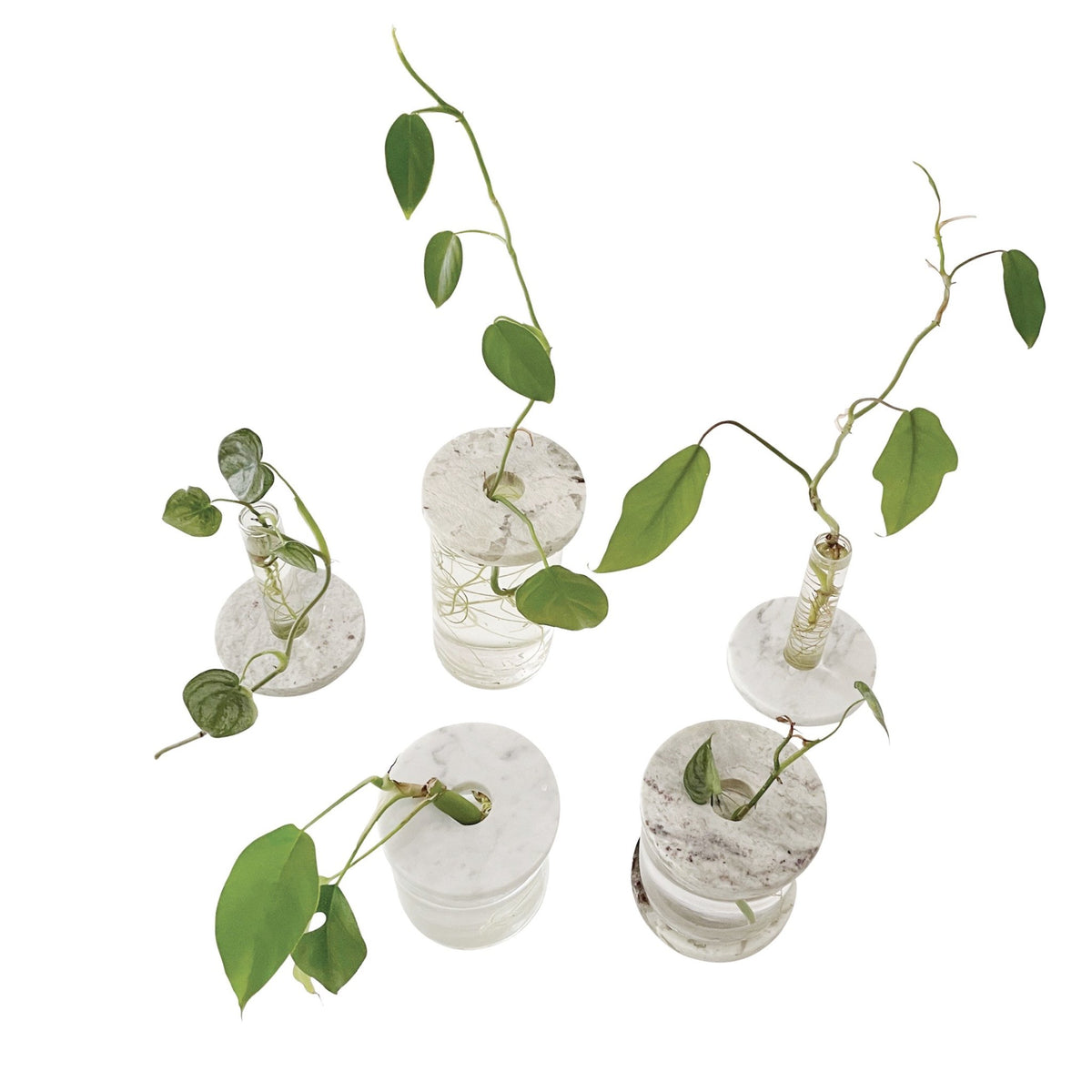 ATTRACTIVE WAYS TO INCREASE HUMIDITY (NO HUMIDIFIER + NO MISTING ...
