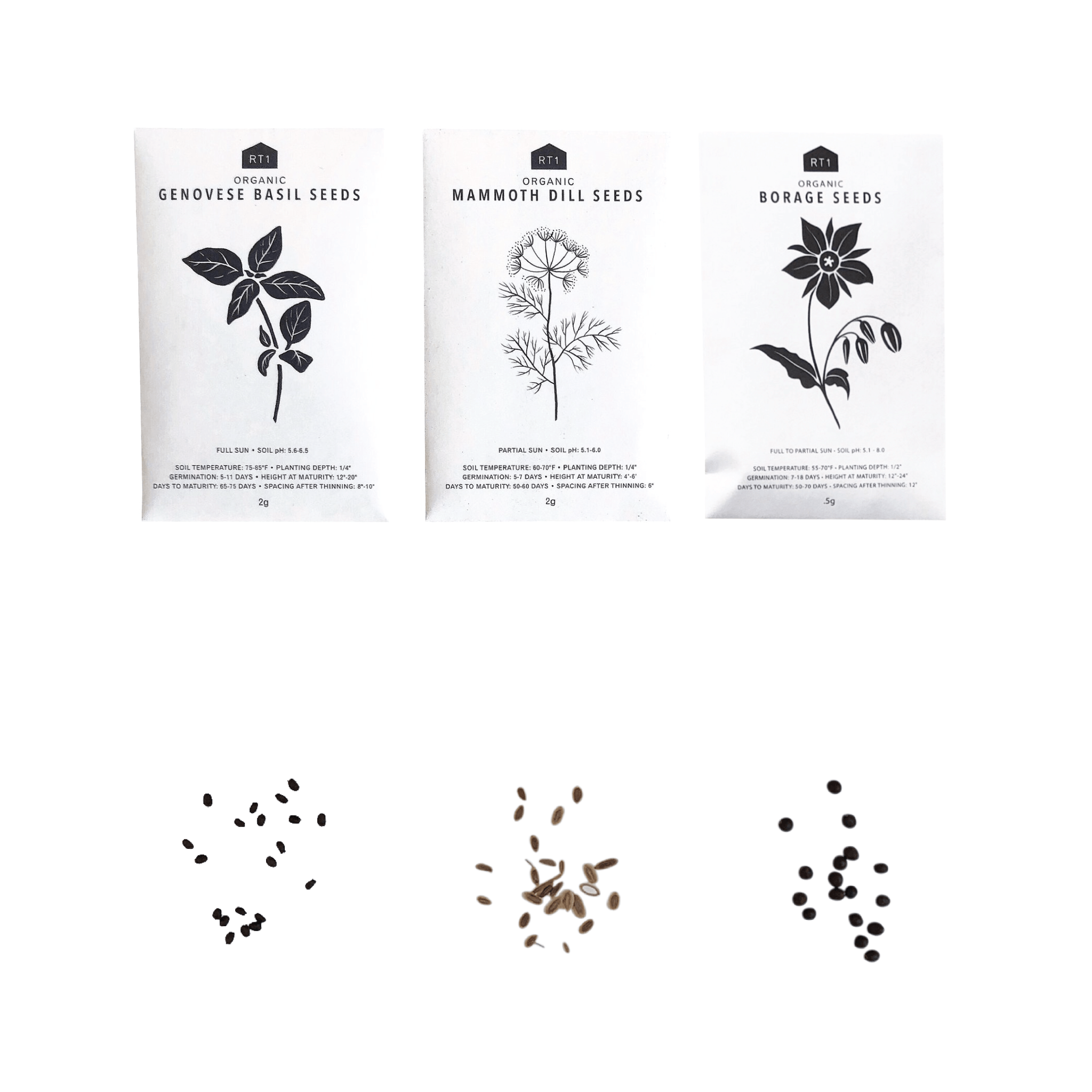 Seeds | RT1home