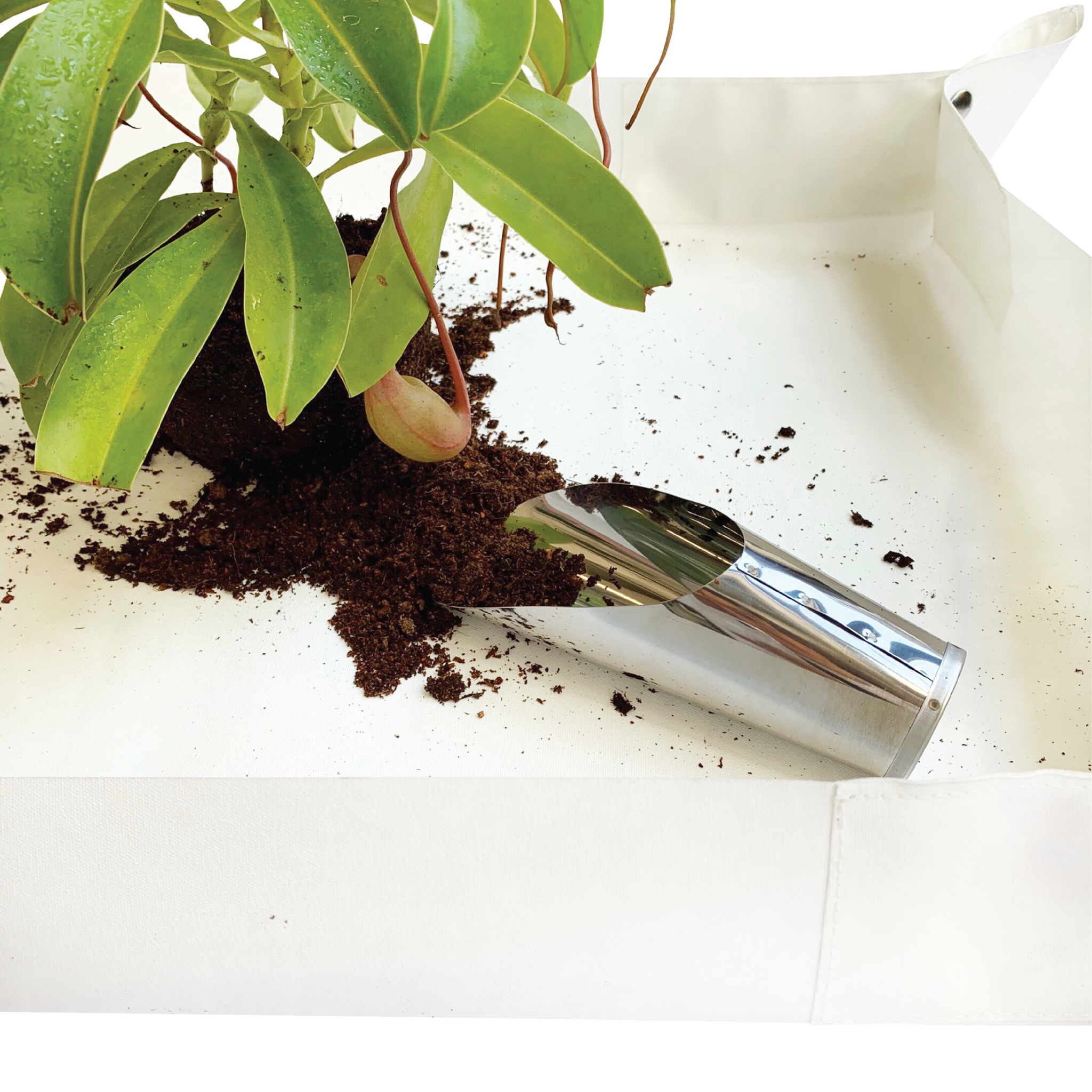 Soil scoop – plantstraws