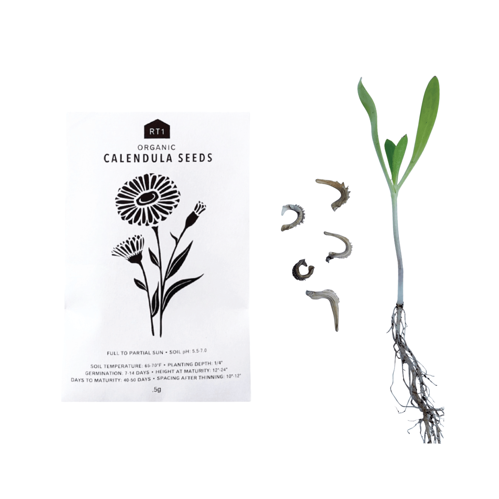 Edible Flower Seed Collection - 5 Varieties – Sacred Elements