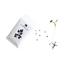 HERB SEEDS - PACK OF 5 - RT1home