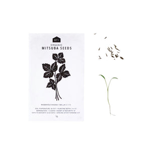 JAPANESE HERB SEEDS - PACK OF 5 - RT1home