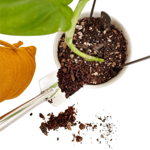 LASAGNA COMPOST - RT1home