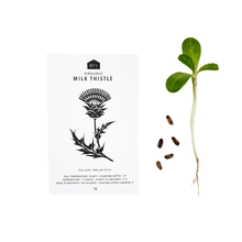 MEDICINAL HERB SEEDS - PACK OF 5 - RT1home