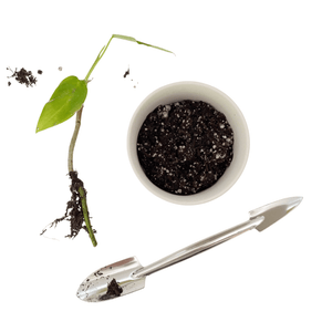 MINI DOUBLE HEADED TROWEL - RT1home