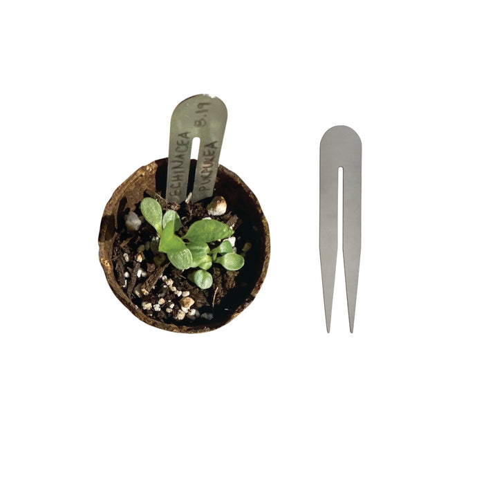 PLANT ARCH TAGS - RT1home