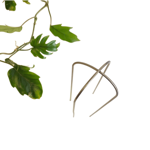 PLANT ARCHES - RT1home