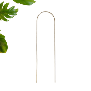 PLANT ARCHES - RT1home