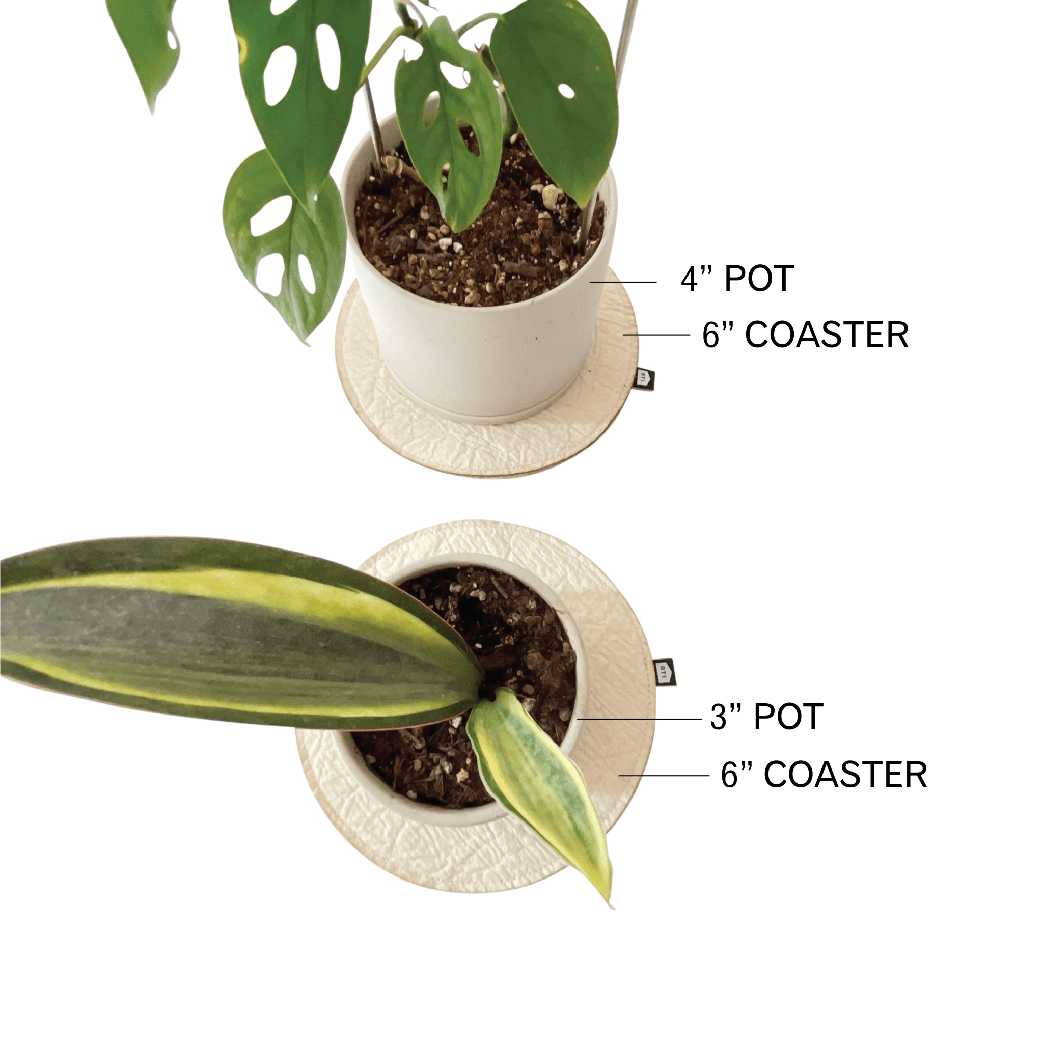 indoor plant coaster Plant Coaster - SECONDS SALE MINI