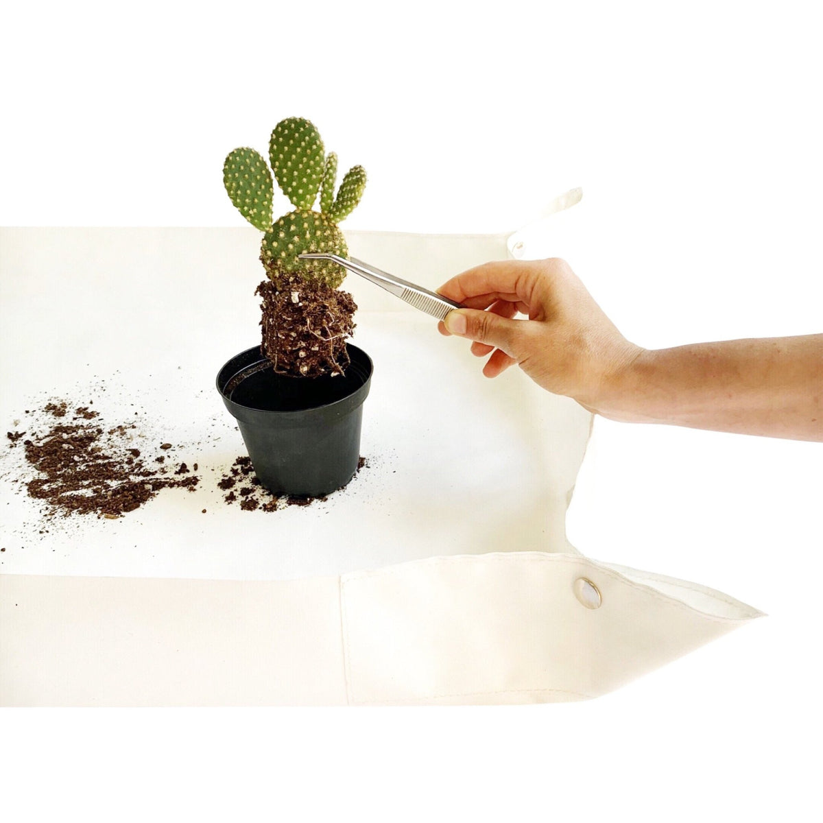 PLANT TWEEZERS – RT1home