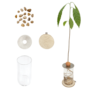 PROPAGATION SET - RT1home